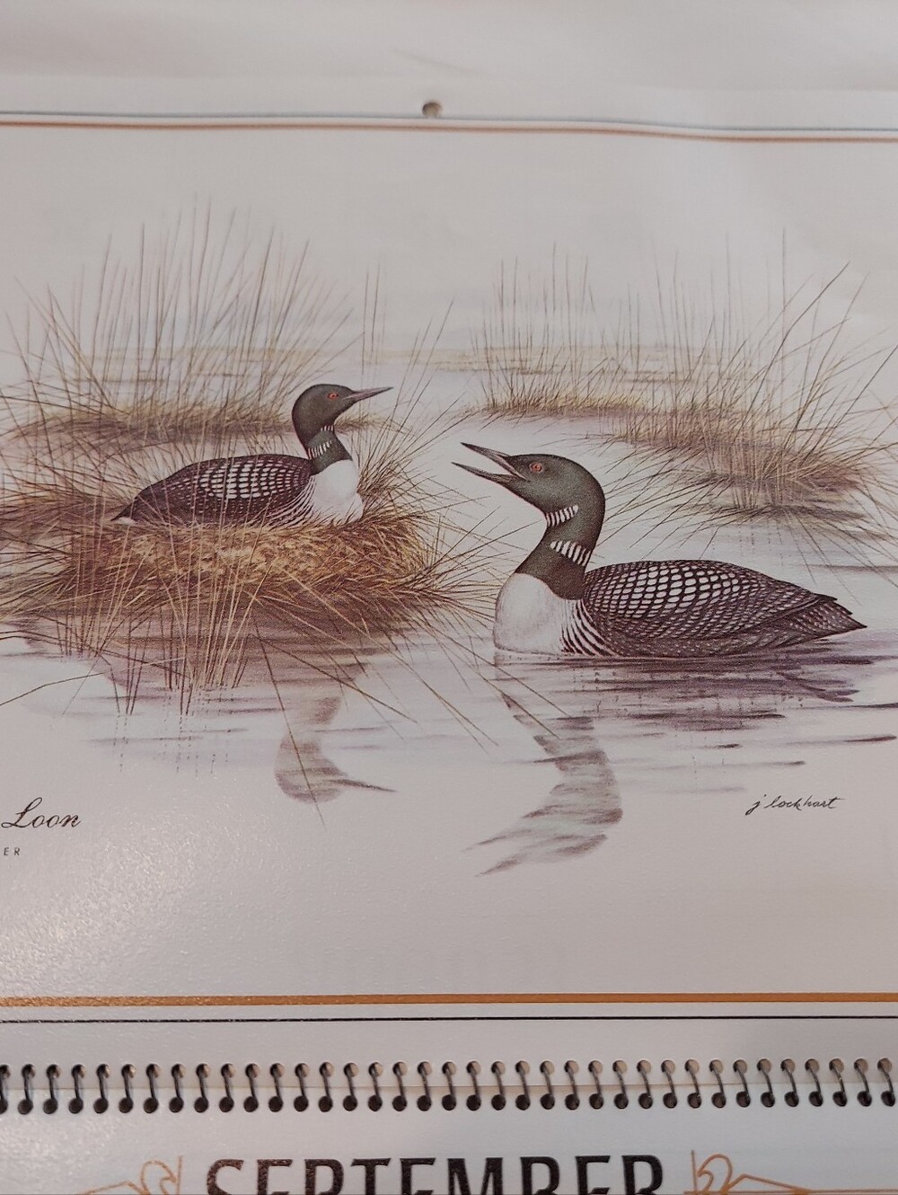 Vntg 1986 Wildlife Collection Callender, James Lockhart-Artist & Conservationist - Picture 6 of 16